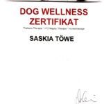 Dog Wellness Zertifikat